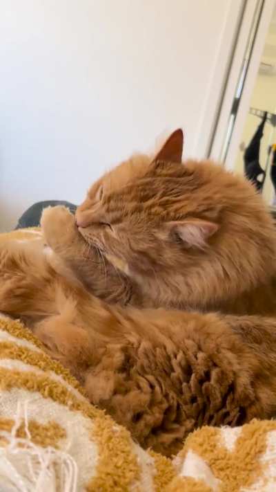 Almost pulled her toe off