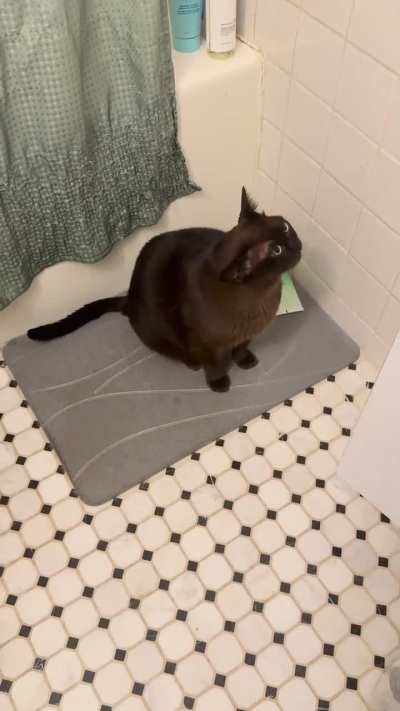 Good morning sunshine