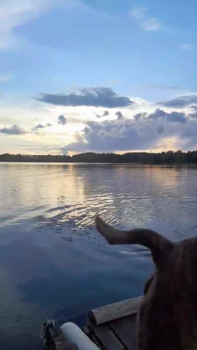 I recommend everyone goes on a raft with strangers at least once while the sun sets.