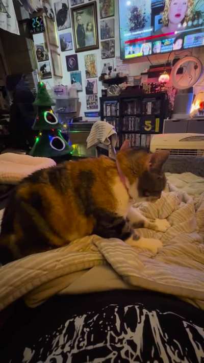 Frizzles is up early to bake the morning bread 🥖