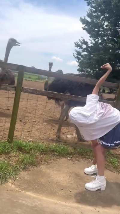 Communication skills