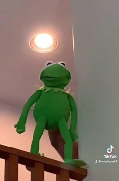 Bro he Kermited suicide