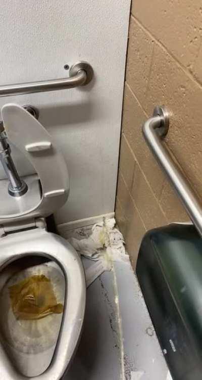 If you have to clean bathrooms for a living... youre welcome! From, the gamers