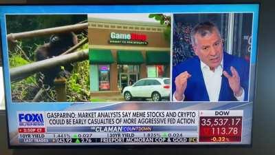 If the shorts covered why spend 5 min talking about my favorite stonk? Oh and at the end “we” are crazy apes.