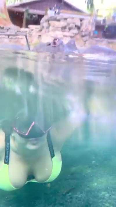 Swimming with Crocodiles