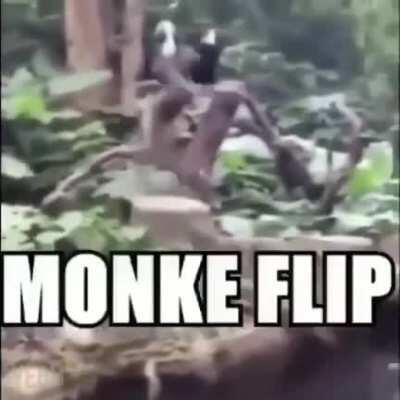 monke flip