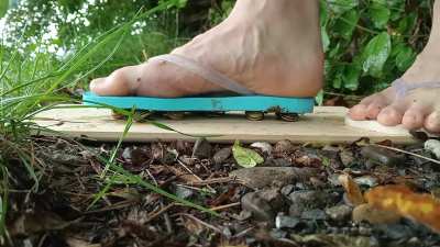 First try with 11 small ones