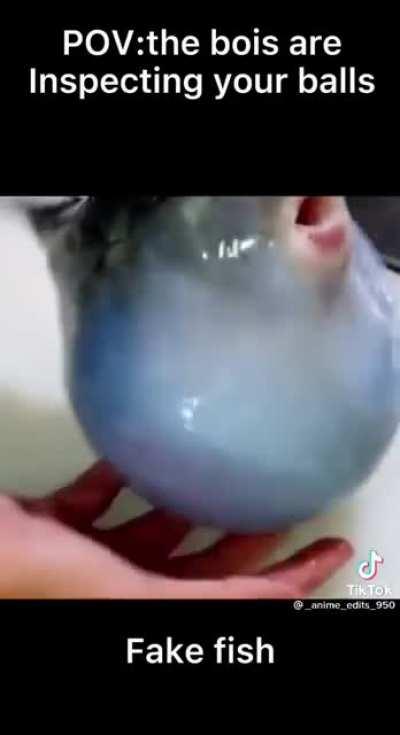 balls inspection with the bois