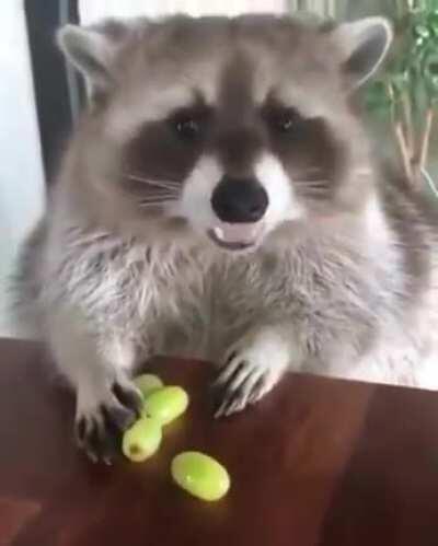 Mind your own grapes