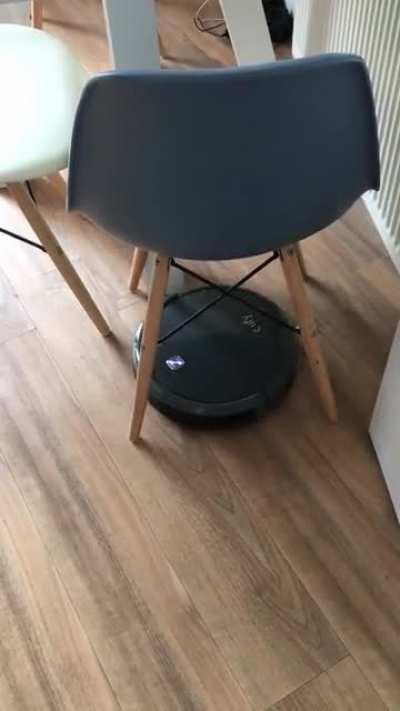 I thought I’d leave it on while I went out for a couple of hours and return to a spotless flat. I was wrong