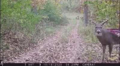 Someone thought he was tougher than the combine