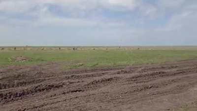 Ukrainian Stryker Infantry Carrier Vehicles.