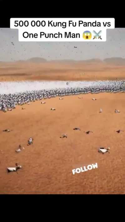 All it takes One Punch