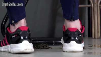 Craws crush in Sneakers 