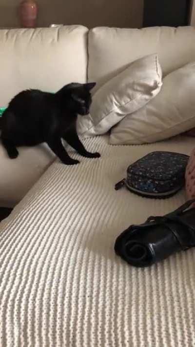 She absolutely hates my makeup bag for some reason