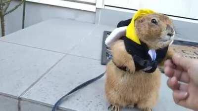 He insisted on going outside, but it was so cold he just froze