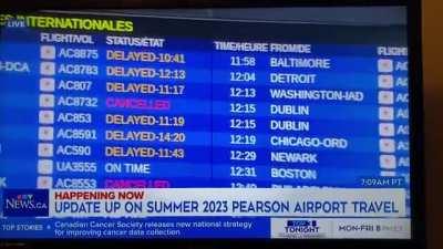 Cameraman delivers instant fact-checking