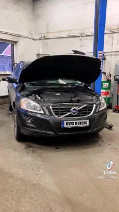 What sound would your car make?