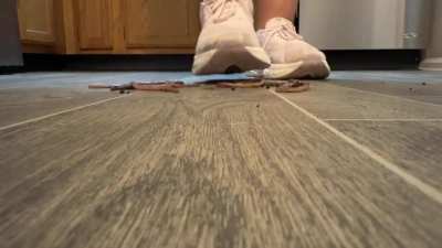 Anybody like crushing in running shoes?