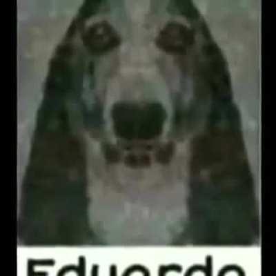 Eduardo😳😳😳😳