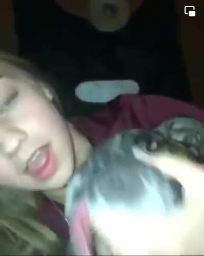 Giving “what the dog doin” a whole new meaning. I bet you never woulda guessed this…