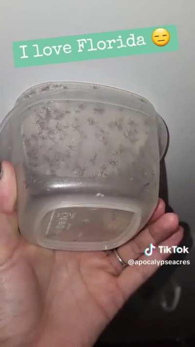 Thats why i am never moving to florida 😰