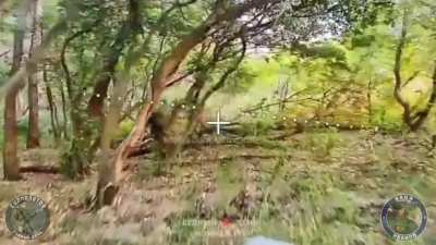 A russian fiber optic FPV drone target ukrainian infanterymen in the forest west of Pokrovsk