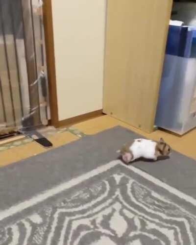 Well, wouldn't he feel hurt?