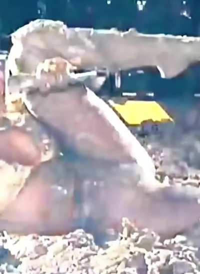 Live Coachella HD jumbotron version