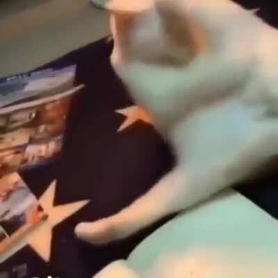 When your inner demon fights back 😹