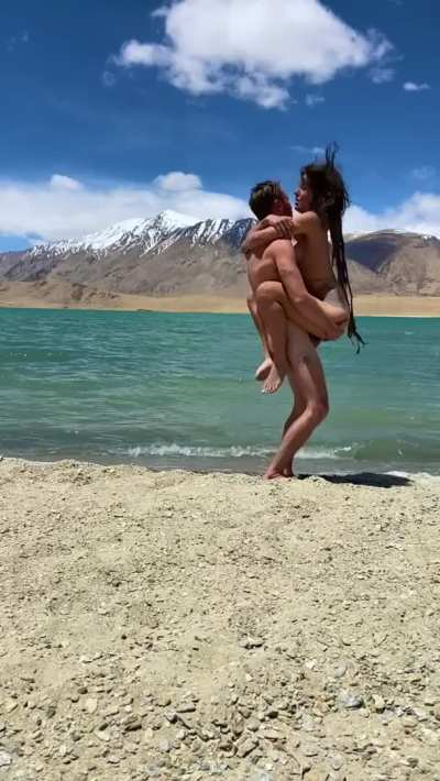 Wild animals in their natural habitat