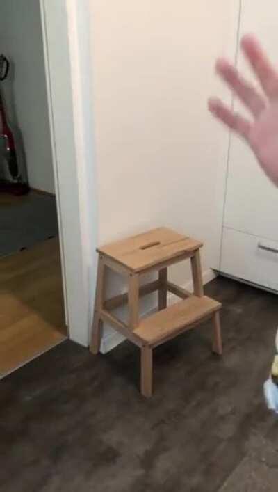 How to summon a Beagle