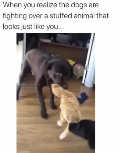 Kitty looks horrified!