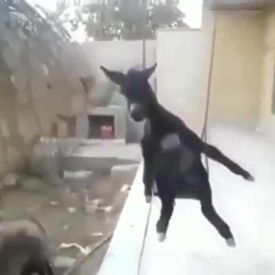 يييييييييييييييييييييييييييييييييييييييي