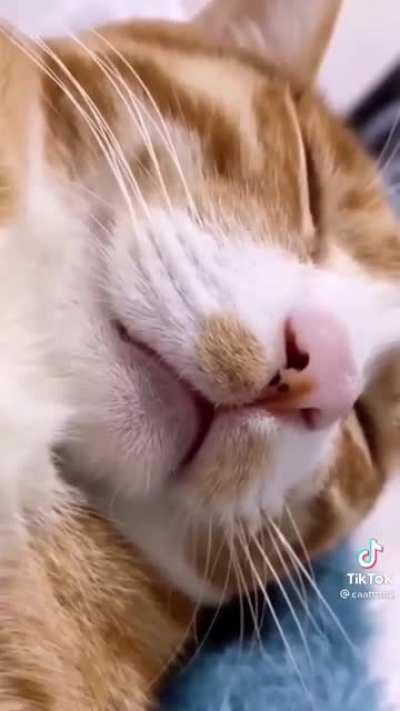 Your daily dose of serotonin