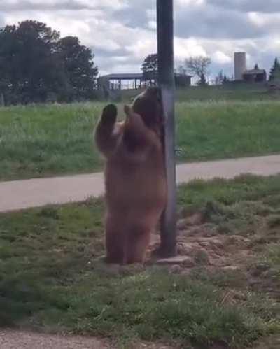 No one is looking..time to relax