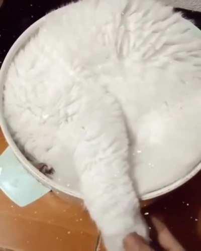 Tub of vanilla ice cream.