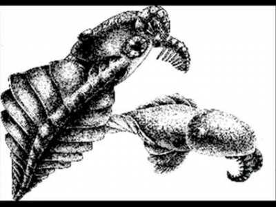 I'm 15 and this is yeet