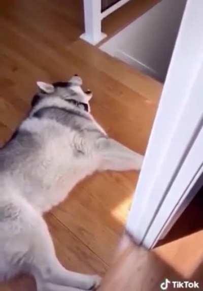 I want to put this on the alarm