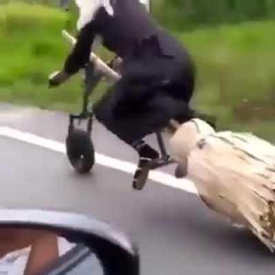 Witch on her way to work.