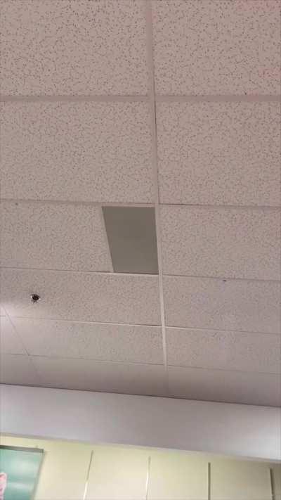 Dreamybull vs store microphone