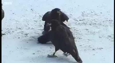 What kind of monster would just watch this happen.