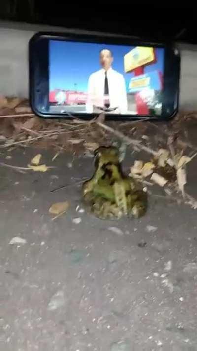 frog interrogation technique