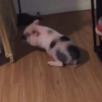 Wood floors are slippery