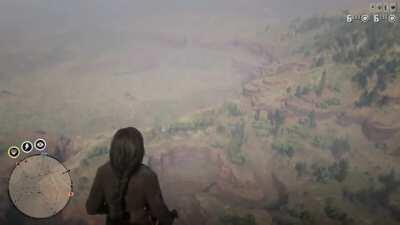 Well... I'm gonna die anyways.