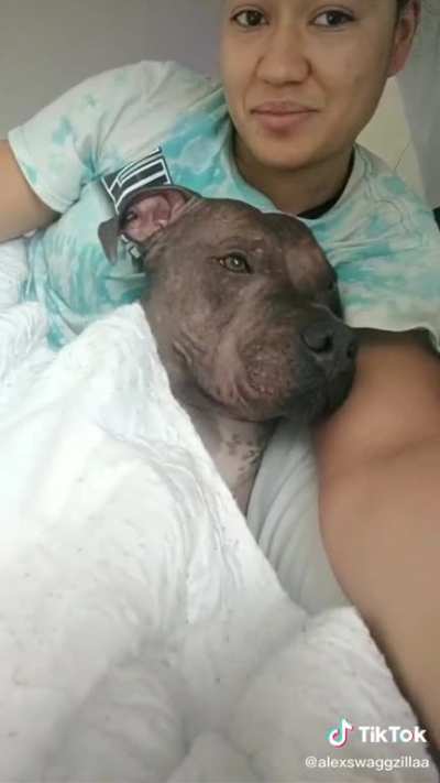 @alexswagzilla what’s wrong with your dog 😂😂😂