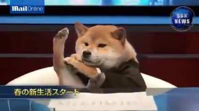 Doge to 1$ by end of year! I heard the news on a reliable source.