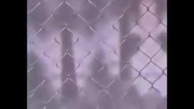 well, you got your wish guys