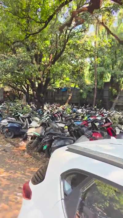 Jungle got occupied by OLA!