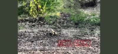 We will not forget you. This is the price we never wanted to pay